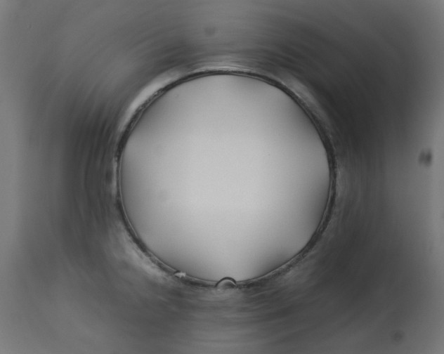 X0000113211238200910081308