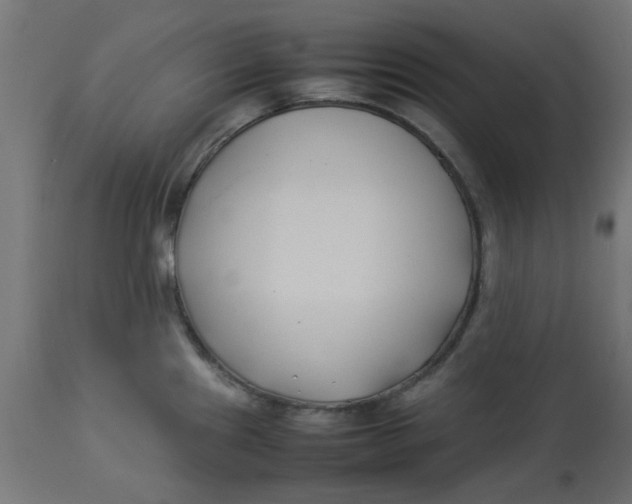 X0000113211241200910081308