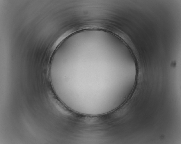 X0000113211242200910081308