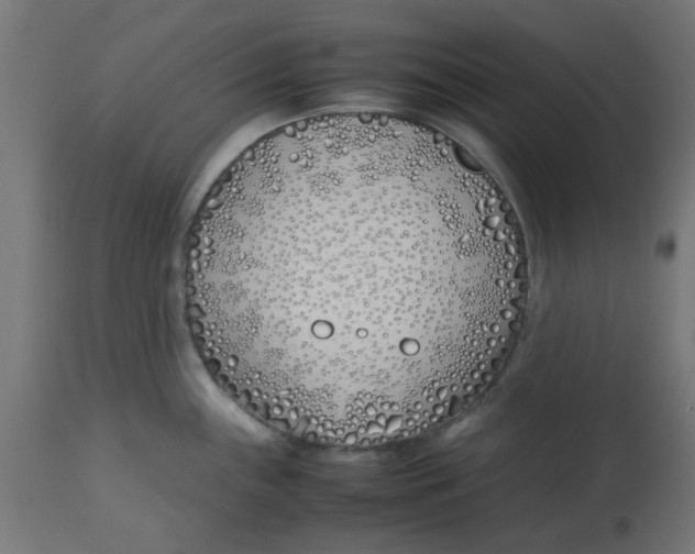 X0000113211243200910081308