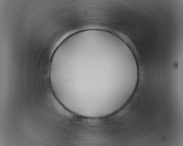 X0000113211244200910081308