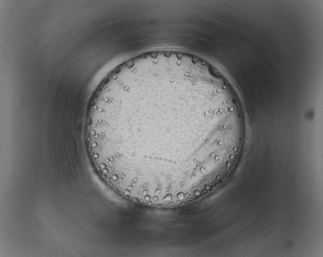 X0000113211245200910081308