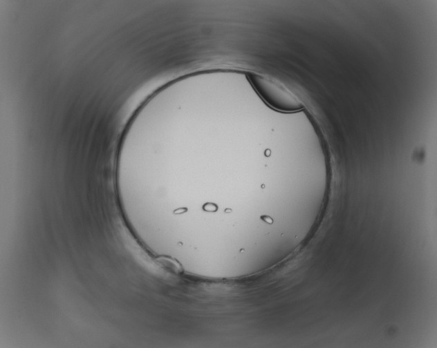 X0000113211246200910081308