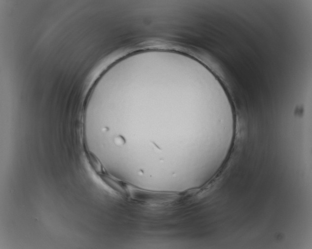 X0000113211247200910081309