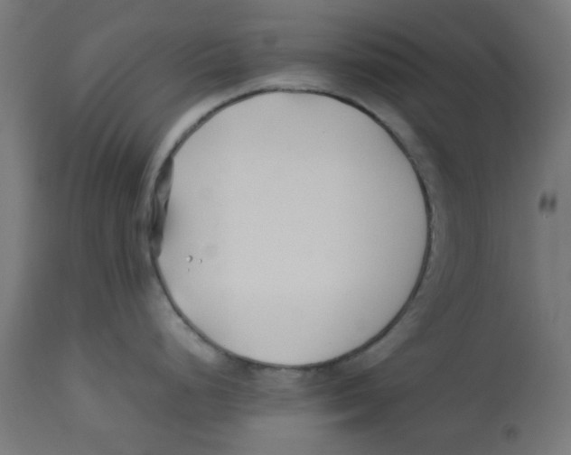 X0000113211248200910081309