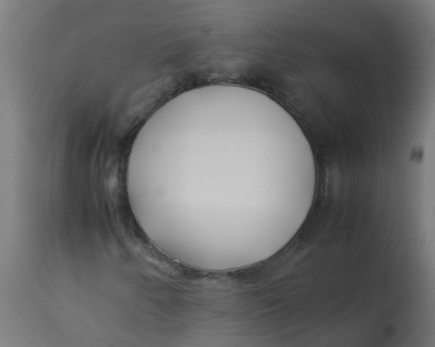 X0000113211250200910081308