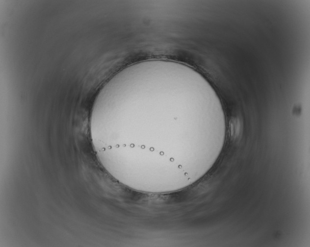 X0000113211251200910081308