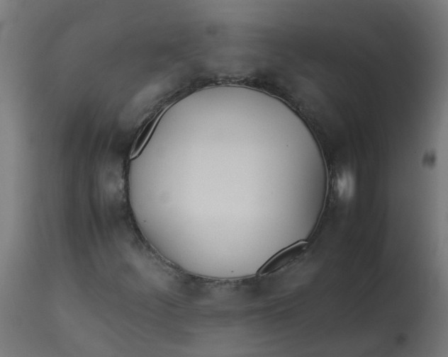 X0000113211252200910081308