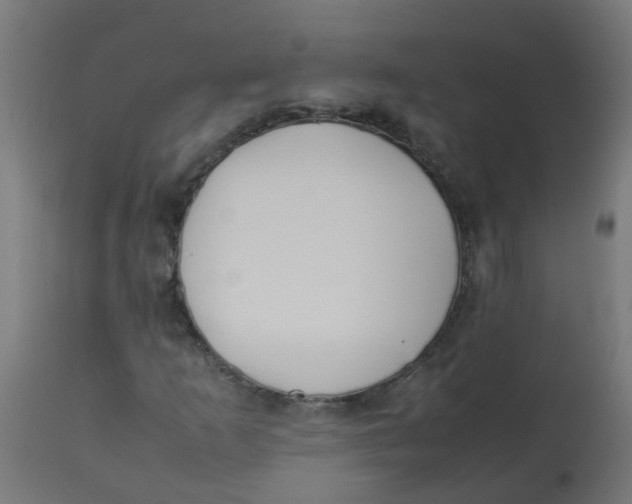 X0000113211253200910081308