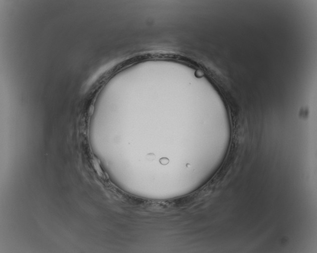 X0000113211255200910081308