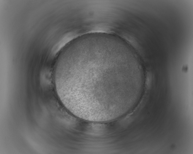 X0000113211258200910081308