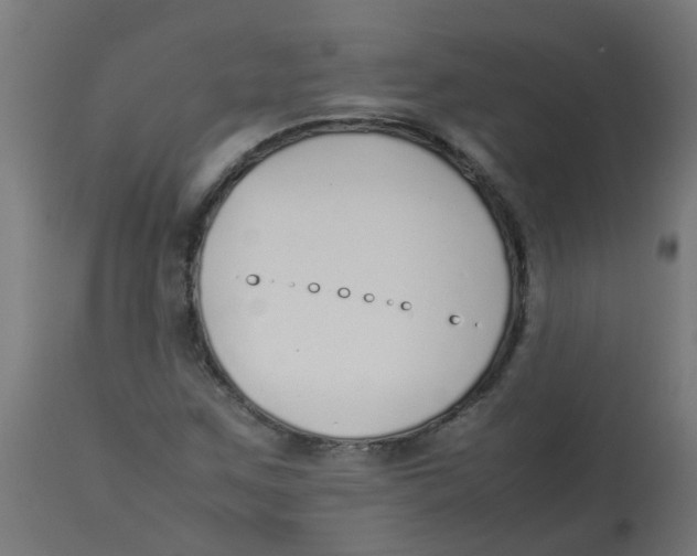 X0000113211259200910081308