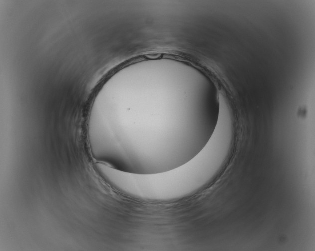 X0000113211260200910081308