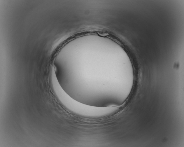 X0000113211261200910081308