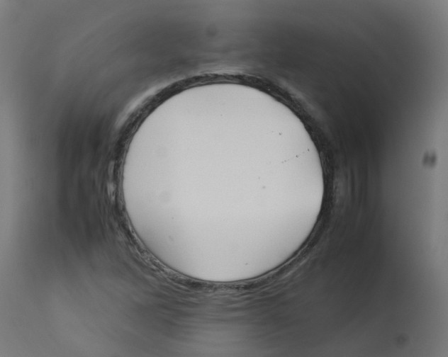 X0000113211262200910081308