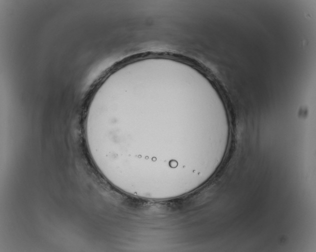 X0000113211263200910081308