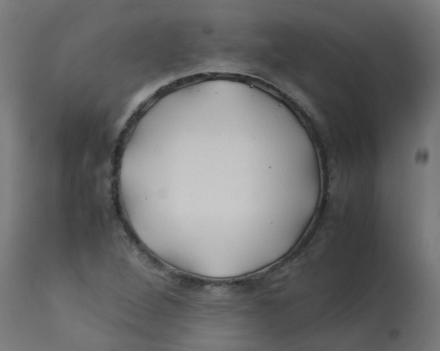 X0000113211264200910081307