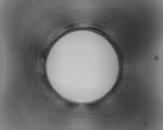 X0000113211265200910081307