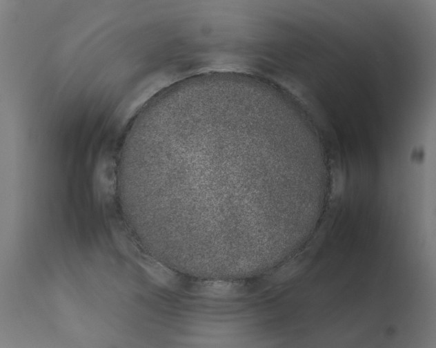 X0000113211266200910081307