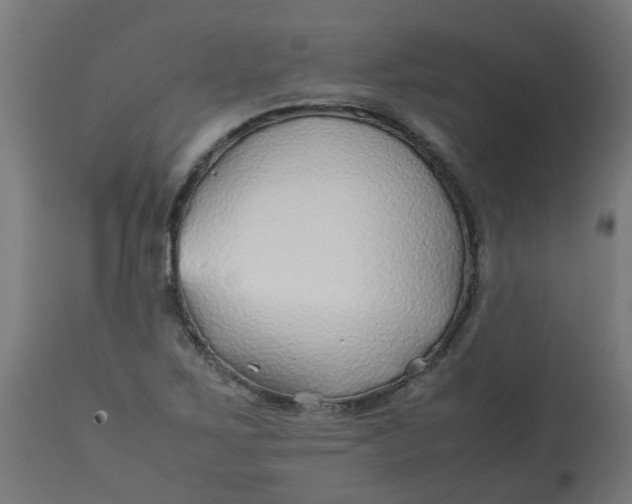 X0000113211267200910081307