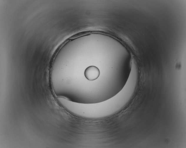 X0000113211268200910081307