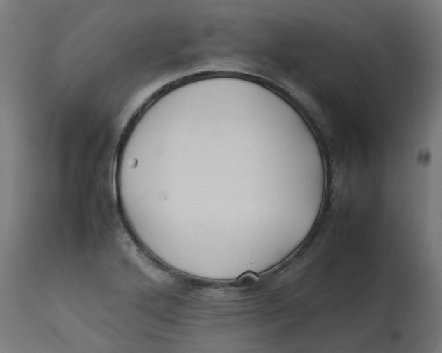 X0000113211272200910081307