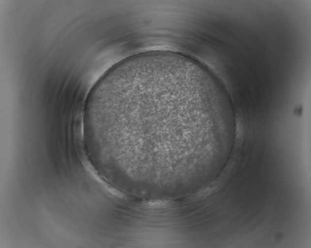 X0000113211274200910081307