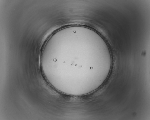 X0000113211275200910081307