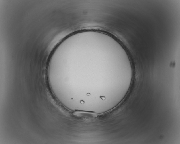 X0000113211277200910081307