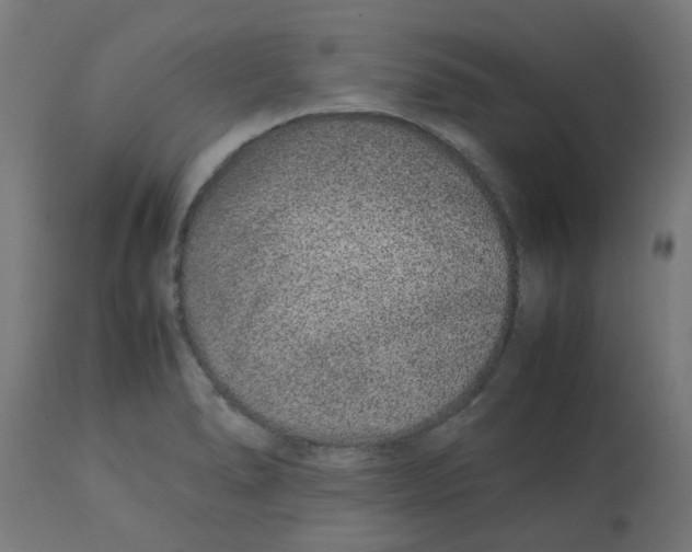 X0000113211278200910081307