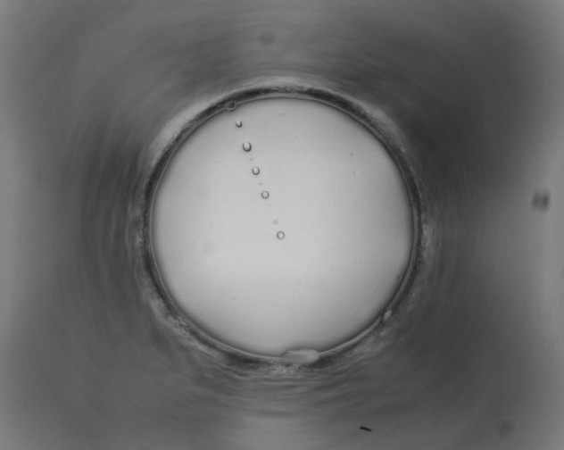 X0000113211279200910081307