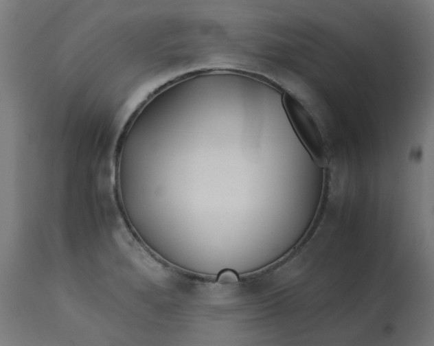 X0000113211280200910081307