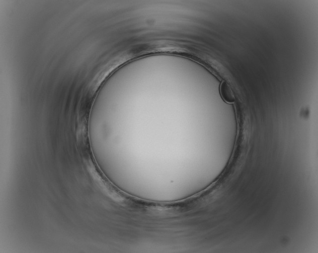 X0000113211281200910081307