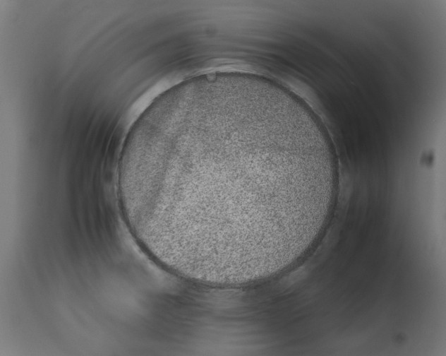 X0000113211282200910081307