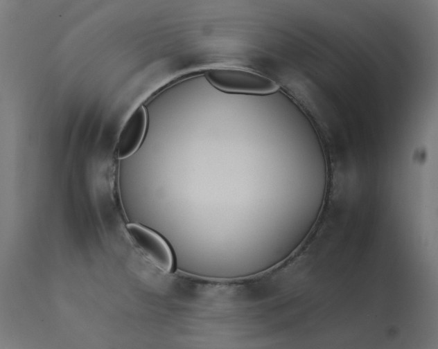 X0000113211284200910081307