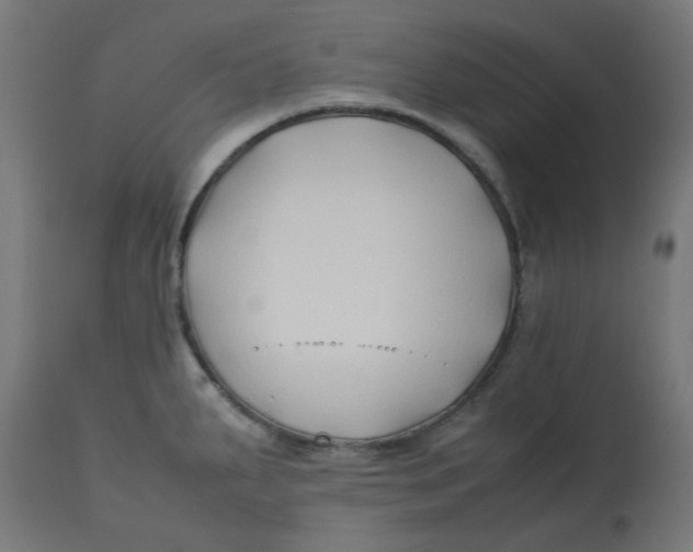 X0000113211287200910081307