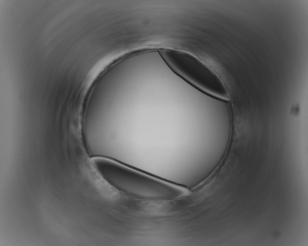 X0000113211288200910081307