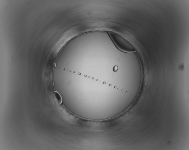 X0000113211289200910081307