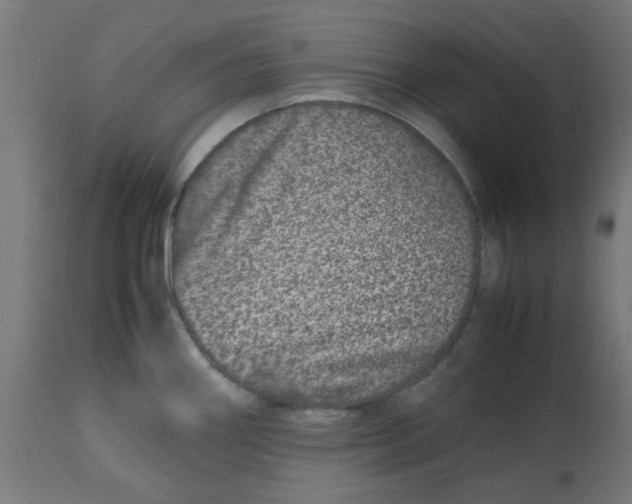 X0000113211290200910081307