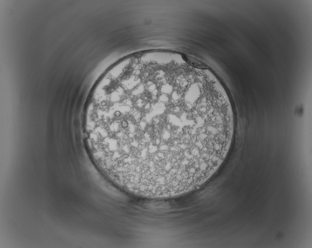 X0000113211291200910081307