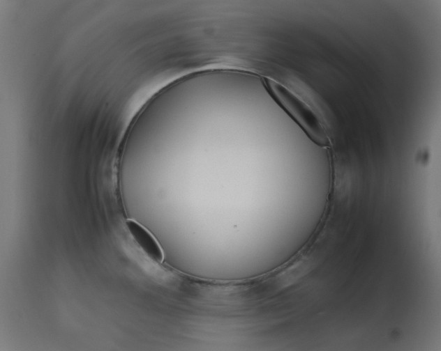 X0000113211292200910081307