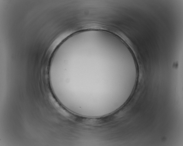 X0000113211293200910081307