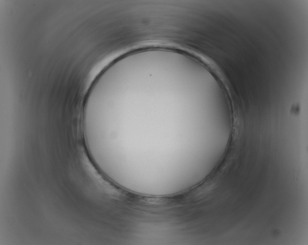 X0000113211295200910081307