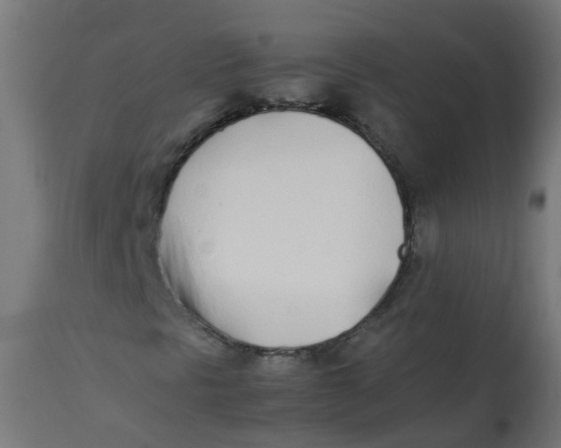 X0000113211297200910081306