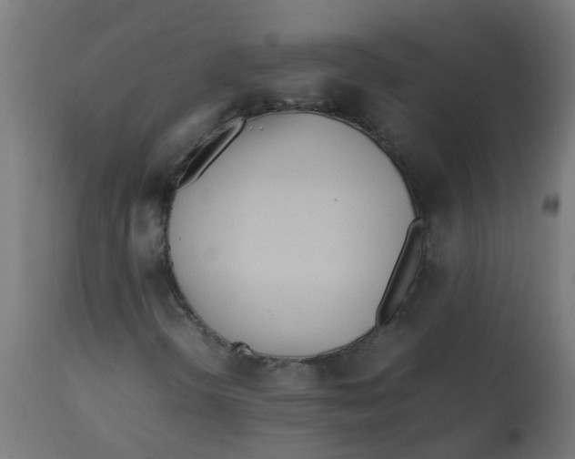 X0000113211298200910081306