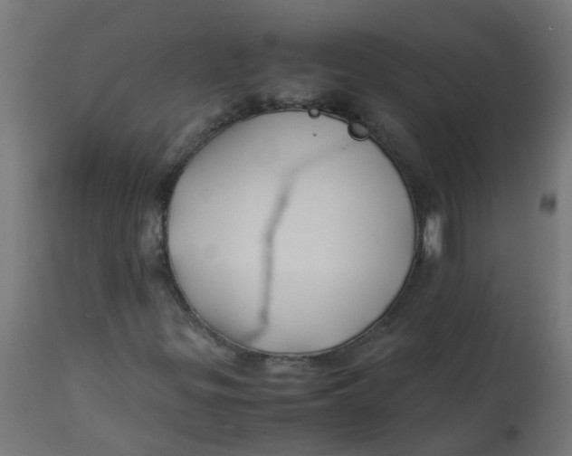 X0000113211299200910081306