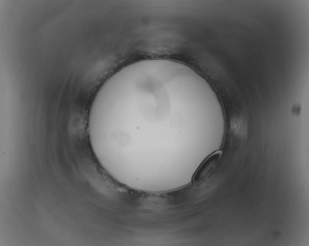 X0000113211300200910081306