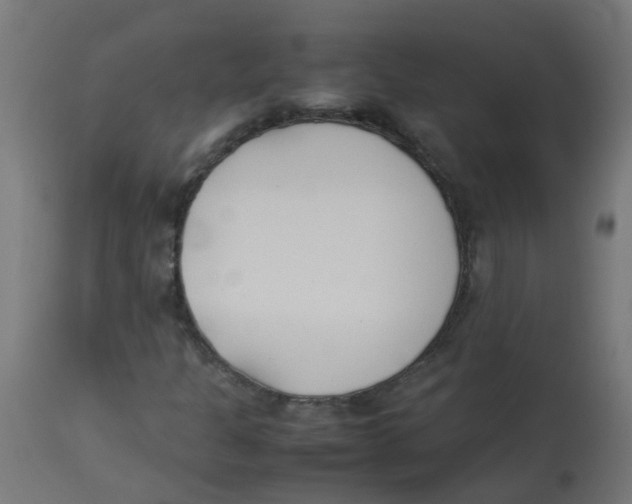 X0000113211301200910081306