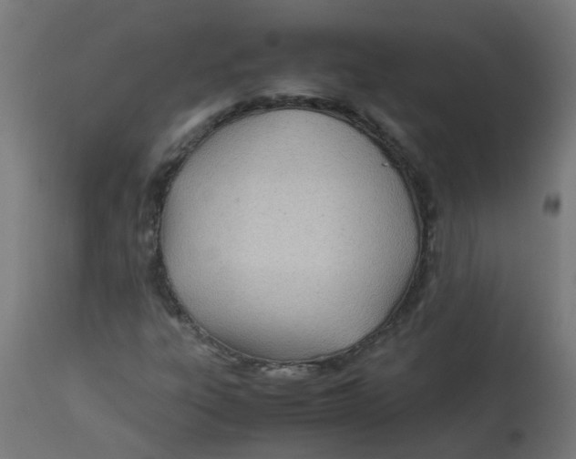 X0000113211303200910081306