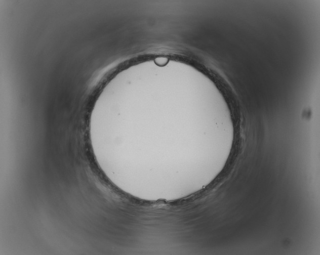 X0000113211304200910081306